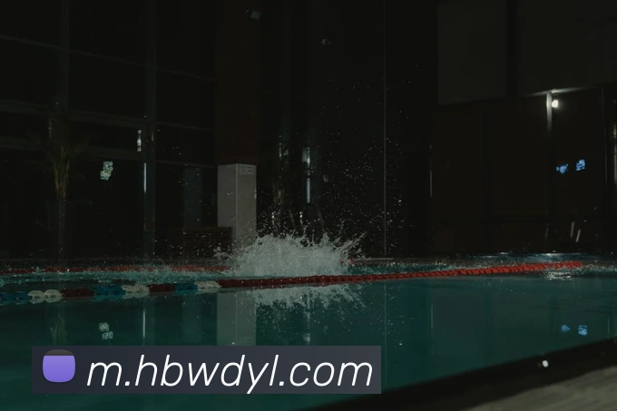 问鼎娱乐APP 封面图